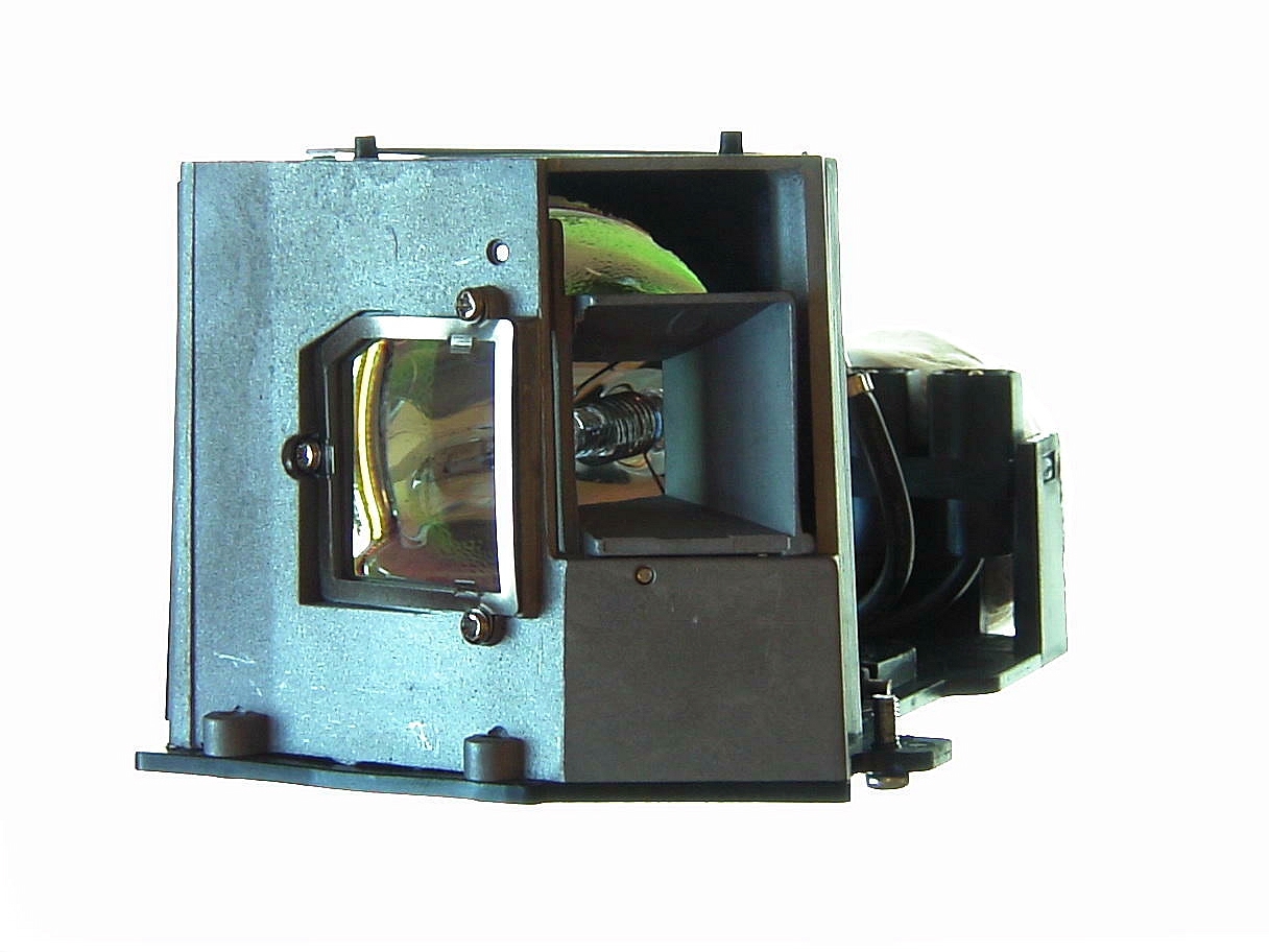 Diamond Lamp Replacement Projector Lamp for OPTOMA BLFS300A / SP.89601.001